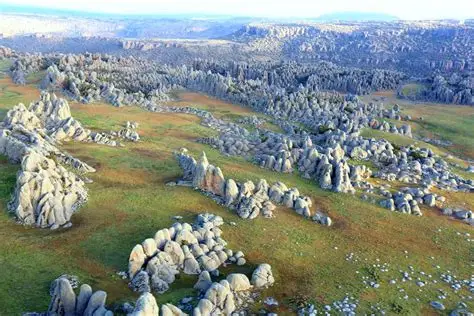 Bale Mountains