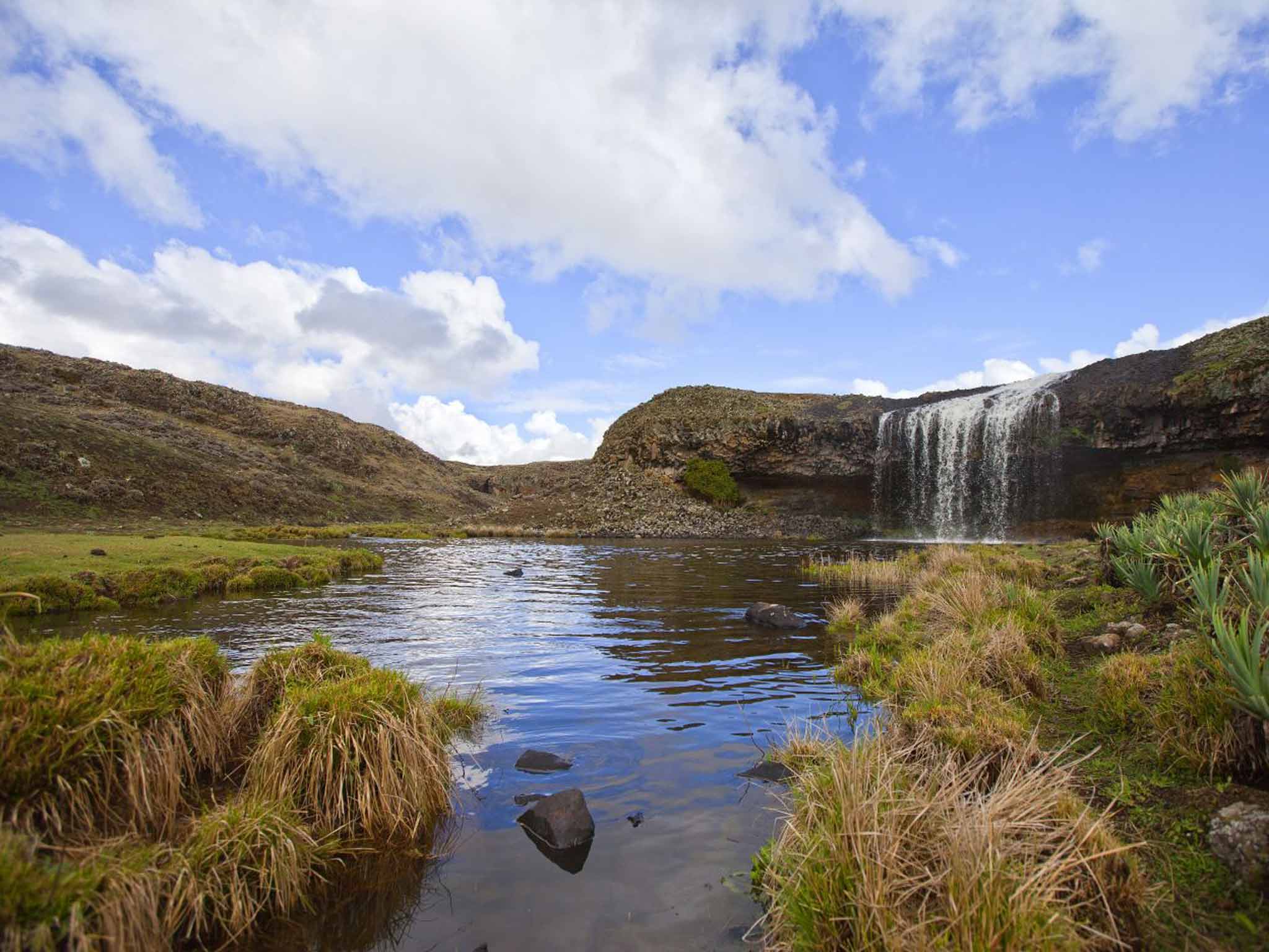 Bale Mountains