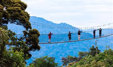 Nyungwe Forest
